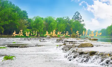 生态环境