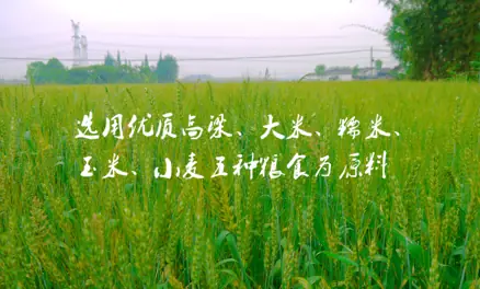 稻田